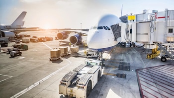 El Gobierno habilitó a la