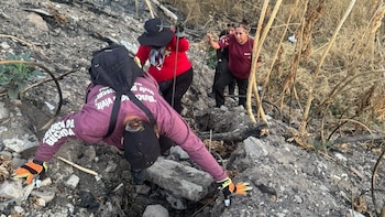 Entre enero y marzo de