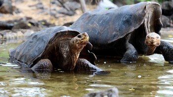 Firmaron un convenio de gestión