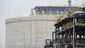 Organizaciones ecologistas critican la dependencia