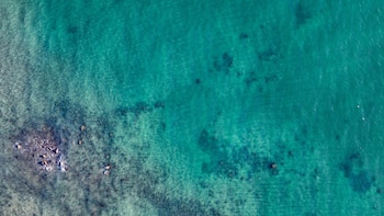 Tres áreas protegidas clave son