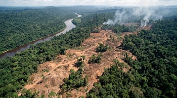 Vista aérea de un bosque tropical con un área de tierra deforestada, troncos caídos, columnas de humo a lo lejos y un río curvado.