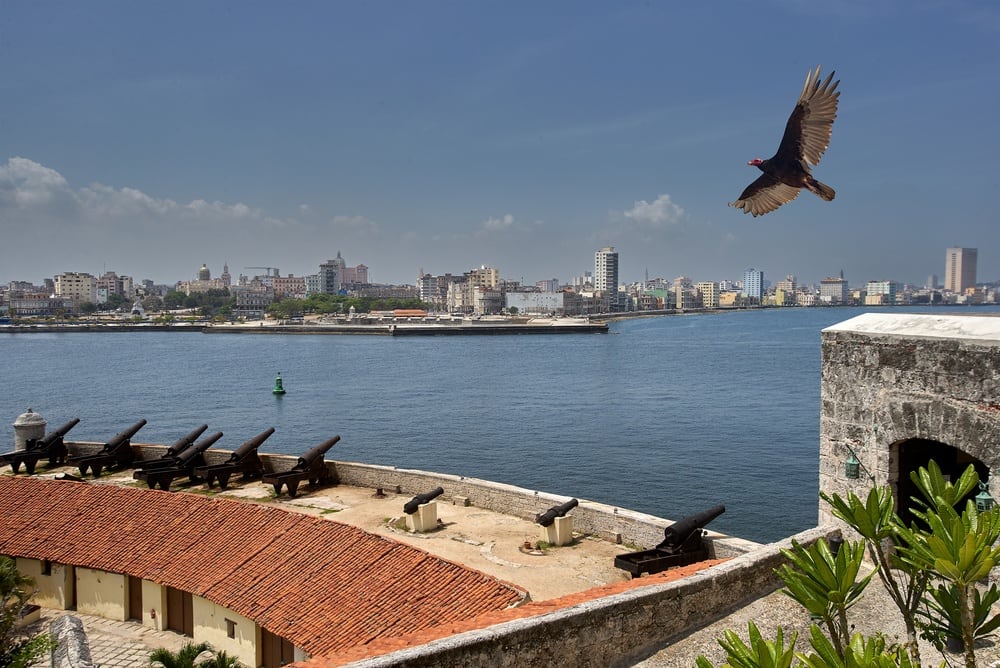 La suspensión preventiva se mantendría, como máximo, hasta el 5 de junio (Foto: Shuttertsock)