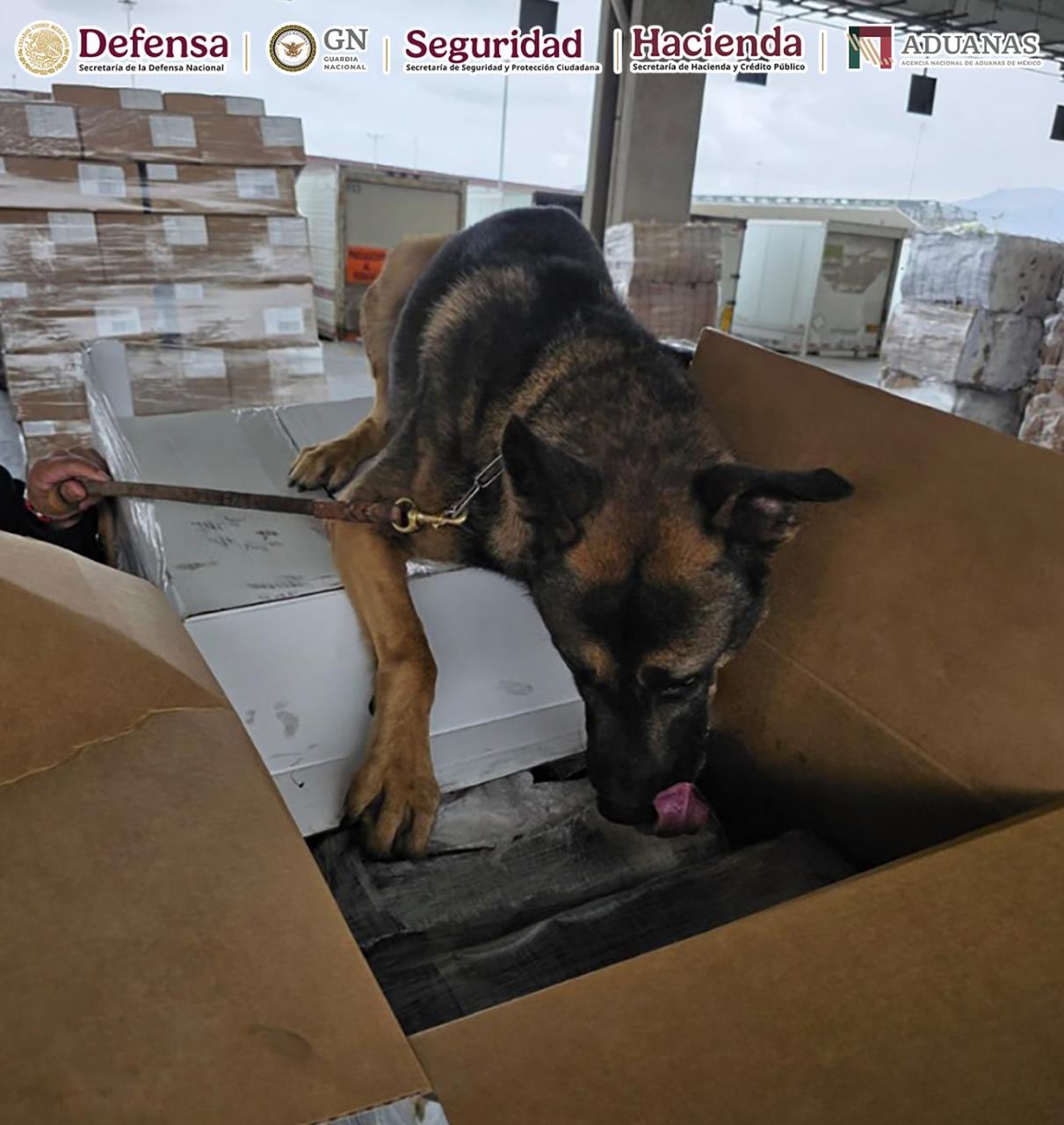Decomiso en la Aduana de Tijuana. Crédito: Gabinete de Seguridad