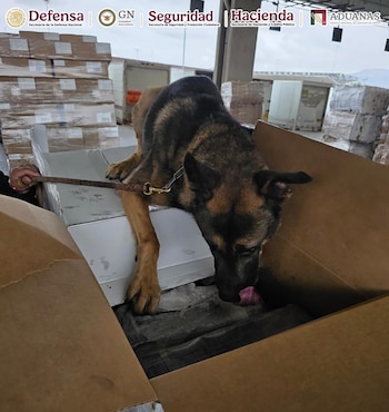 Decomiso en la Aduana de Tijuana. Crédito: Gabinete de Seguridad