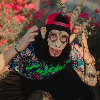 También se ha desempeñado como