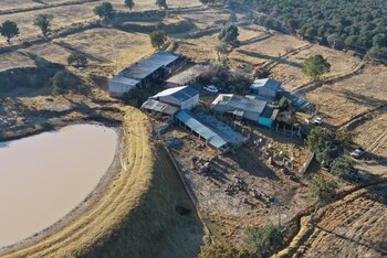 Omar García Harfuch informó sobre