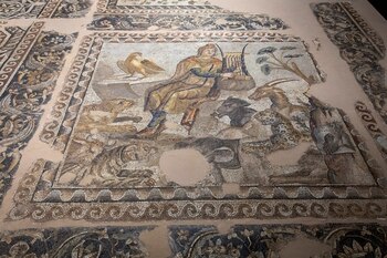 Una gacela está representada en