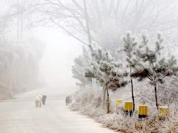 09-12-2021 PAISAJE NEVADO
EUROPA ESPAÑA SOCIEDAD
CONTACTOPHOTO