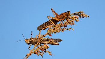 Luego de una tarea de