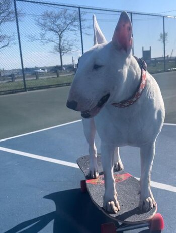 Berlin siempre está entusiasmada de