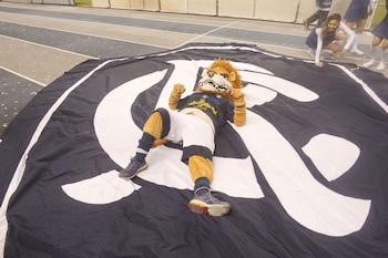 El cuadro brasileño fue el