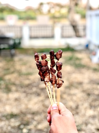 Los palitos de carne, ricos