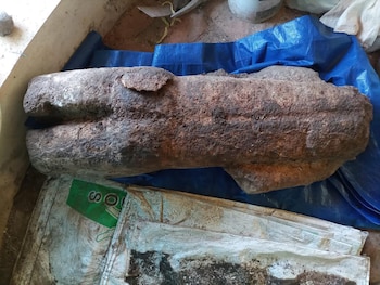 El investigador destacó que es