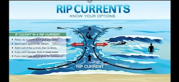 El Servicio Nacional de Meteorología de Estados Unidos mantiene las alertas y recomienda a los bañistas no ingresar al mar hasta al menos el jueves (Captura Telemundo Miami)