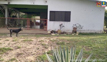 Los criminales tenían fincas en