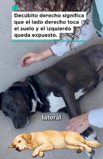 Paso imprescindible para reanimar a