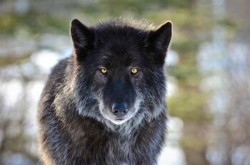 El programa de control también