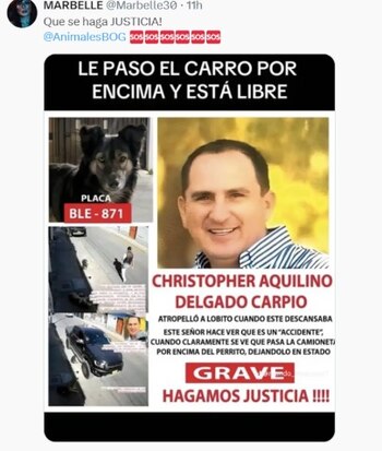 A través de sus redes