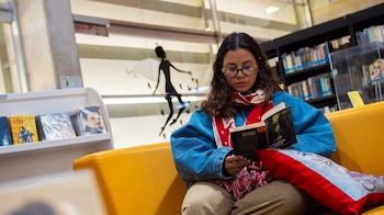 La disponibilidad de estos libros