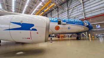 Un avión de Aerolíneas Argentinas