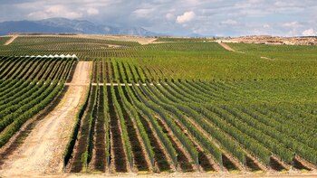 La moderna bodega Karas es