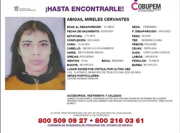 La joven fue vista por