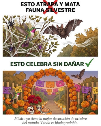 DAÑO A FAUNA SILVESTRE POR HALLOWEEN