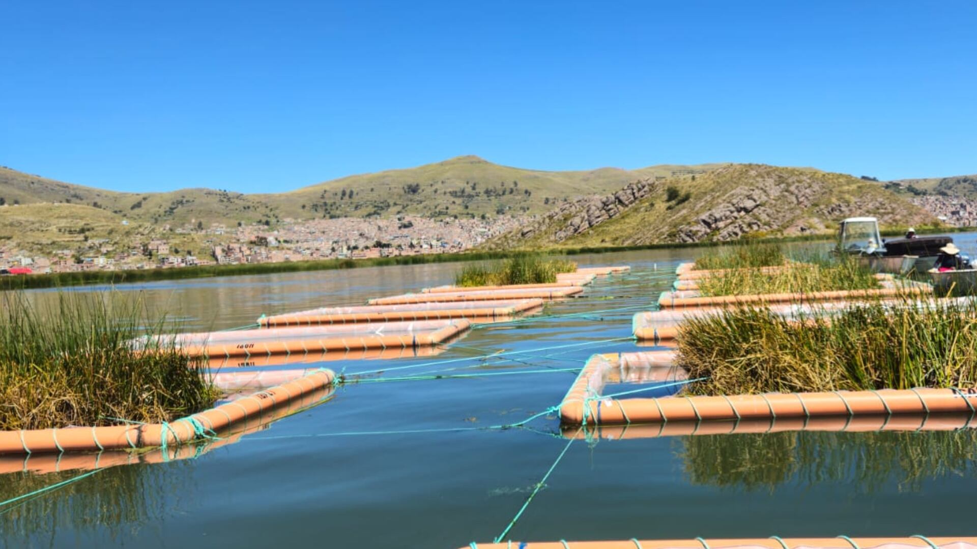 Sistema natural busca reducir contaminación en el lago Titicaca