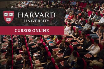 Este programa en línea brinda