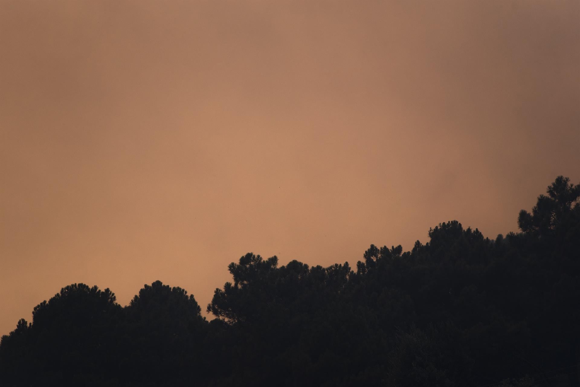 La ola de calor se prolongará desde hoy hasta el domingo con calor muy intenso y peligro muy alto o extremo de incendios