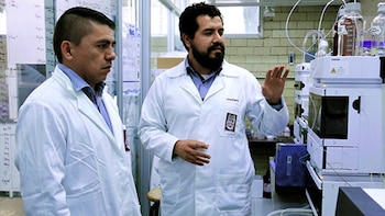 Cátedras de la Diáspora Mexicana abre convocatoria el 5 de junio: ¿Quién puede participar y qué beneficios ofrece?