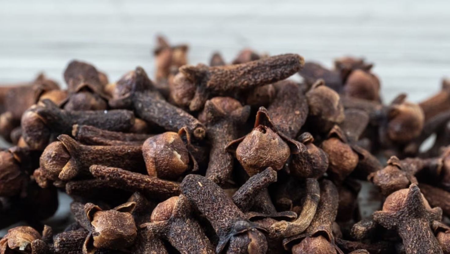 clavo de olor