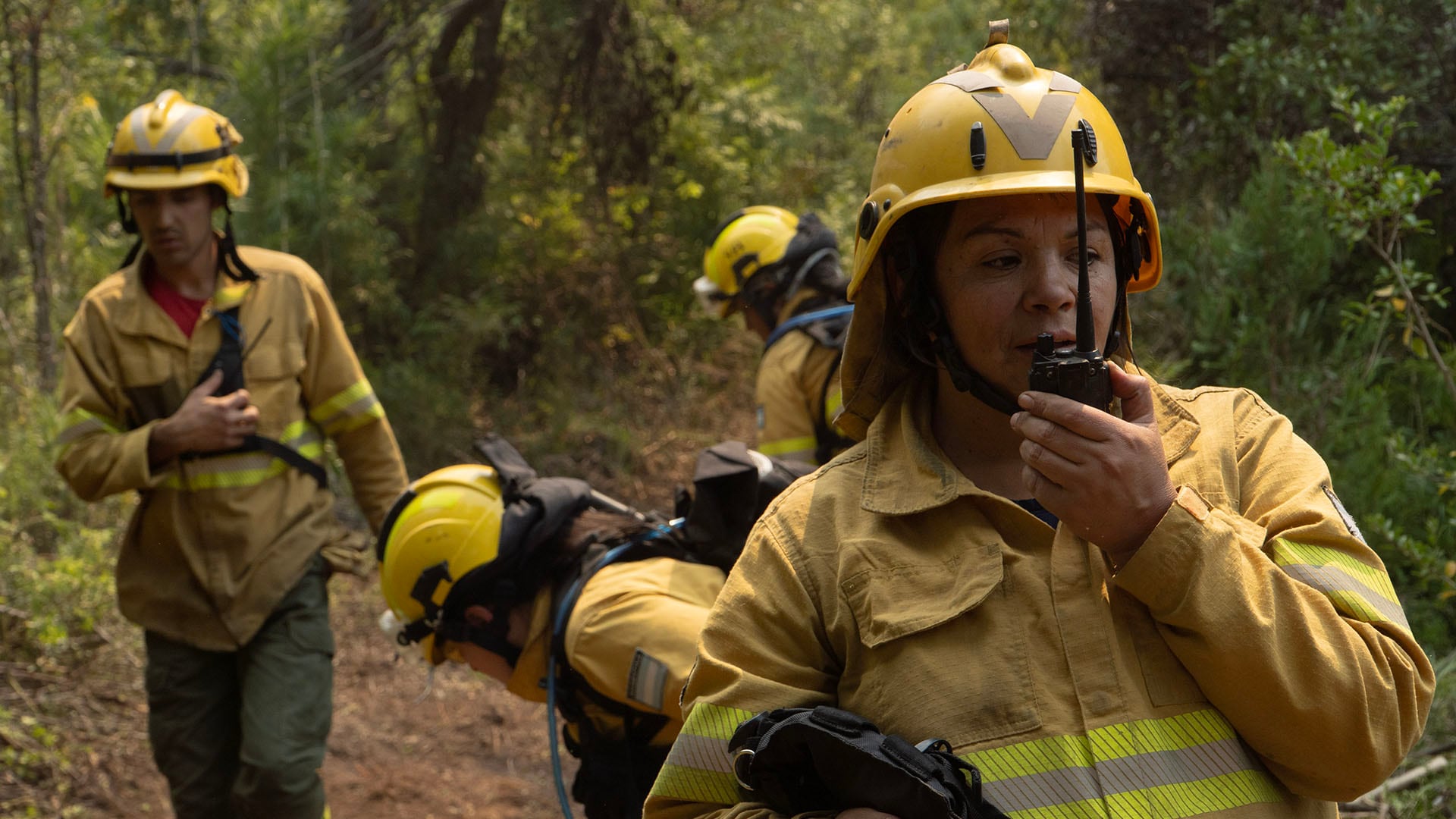 La labor de bomberos y brigadistas lleva casi 50 días continuos, recurriendo a maquinaria pesada y autobombas para enfrentar las llamas de más de 50 metros
