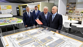 Revelan una red de tráfico