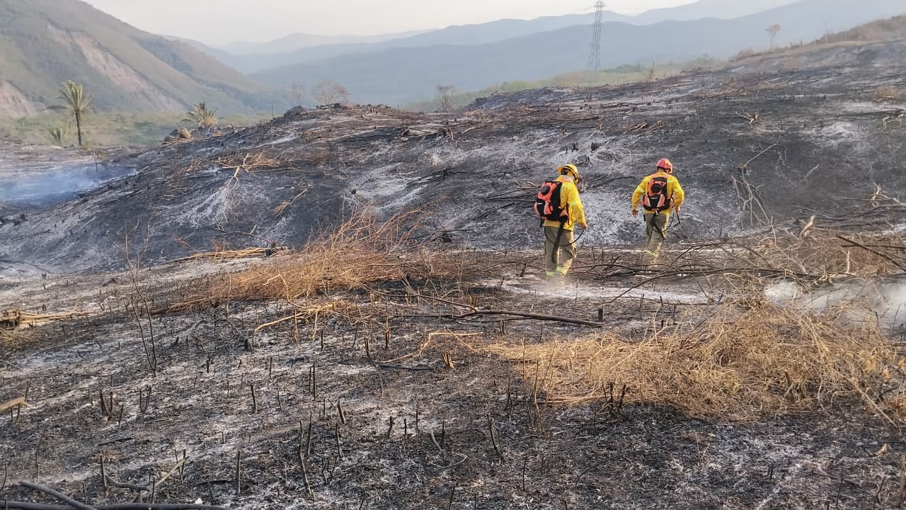 Septiembre sumó 82 incendios forestales en 35 municipios de Cundinamarca, con una afectación estimada de 366,5 hectáreas - crédito Bomberos Cundianamarca