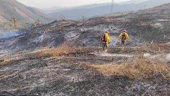 Cundinamarca sumó 828 incendios forestales en 2026: cerca de 3.140 hectáreas resultaron afectadas