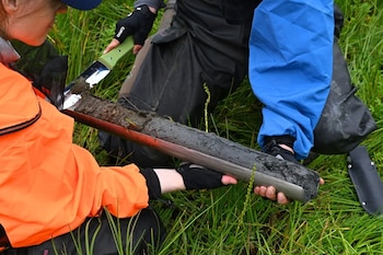 Un método ampliamente aceptado para