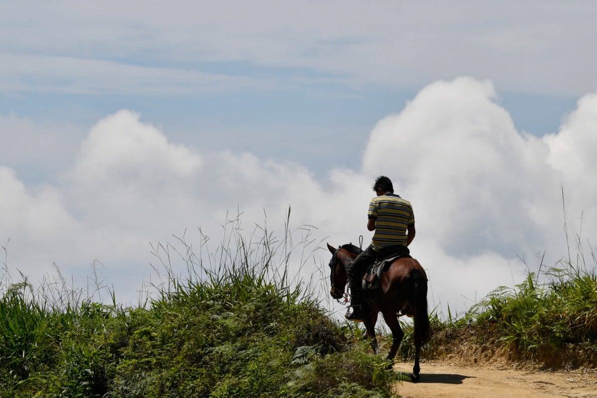 Una de las principales formas de transportarse de los productores de Cardamomo y otros productos es a caballo. Lo remoto de las zonas, asociado a las formas ancestrales de movilizarse, son parte de las causales por la que lo hacen. (Infobae Centroamérica/ Orlando SIERRA / AFP)