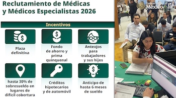 Los profesionales que sean reclutados