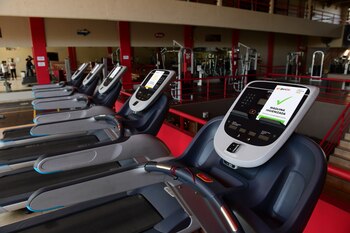 "Lo que plantea el protocolo,