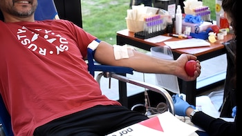 Trasplante de médula ósea en Argentina: cómo inscribirse para donar y por qué puede salvar vidas