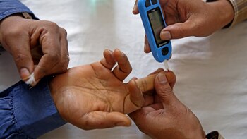 El metabolismo de las células