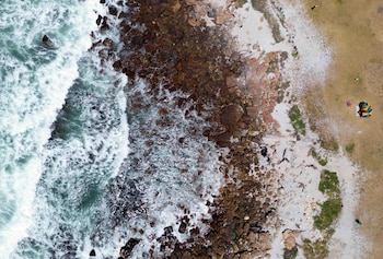 El análisis utilizó datos satelitales de 1993 a 2024 y abarcó regiones del Atlántico, Índico, Mediterráneo y Mar Rojo, mostrando cambios regionales (REUTERS/Hannah McKay)