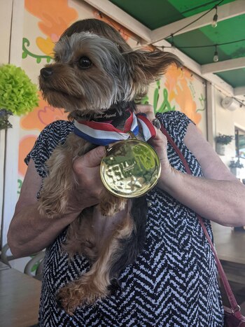 Evento solidario de Victoria Vanucci - perros