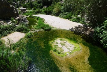 Balneario de la Fontcalda, en