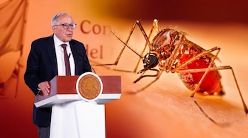 Un hombre con traje y gafas habla en un podio con el escudo de México. A su derecha, una imagen de primer plano de un mosquito grande con abdomen rojizo.