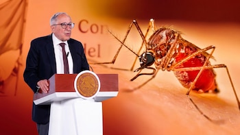 Dengue en México: avanza aprobación de dos vacunas y desarrollo de mosquitos contra virus para reducir 50% los casos