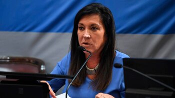 Puja en Diputados para modificar