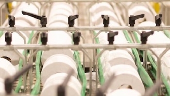 papel higiénico